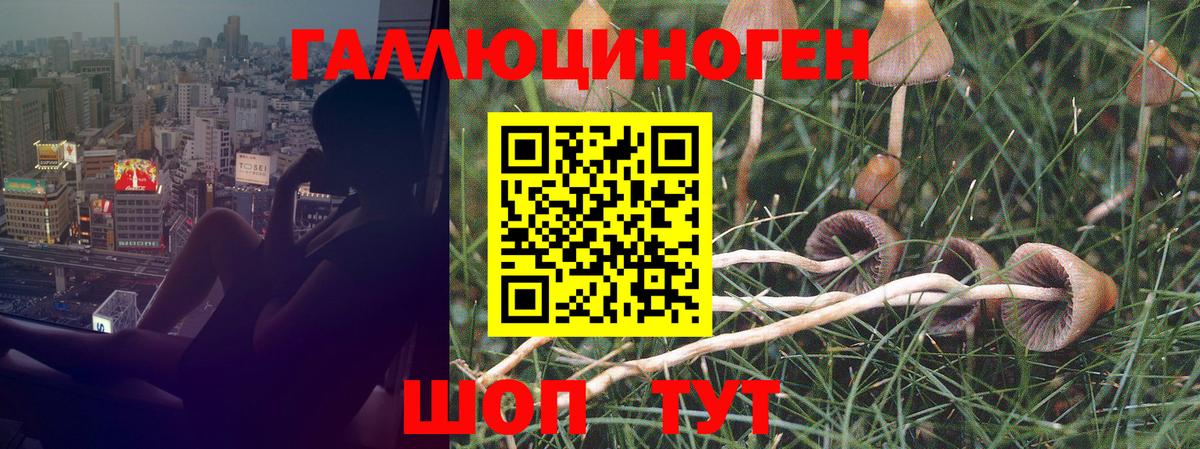 COCAIN  Вход с VPN  Бошки Шишки  MDMA  ГАШИШ  Северобайкальск  Мефедрон кристаллы 