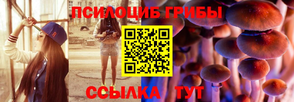 Северобайкальск  наркошоп  Вход с VPN  Галлюциногенные грибы Psilocybe 